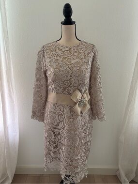 Lace Sheath Long-Sleeve Dress in Champagne